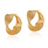 Elegant Earring