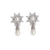 Shiny CZ Earring