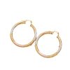 Trendy Gold Hoop Earring
