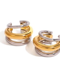 Double Hoop Earring