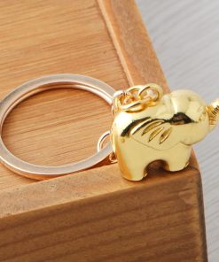 Practical key chain