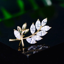 Shiny brooch
