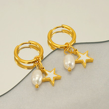 Women Earring for Gift