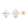 Chic Pearl Earring for Women Gift