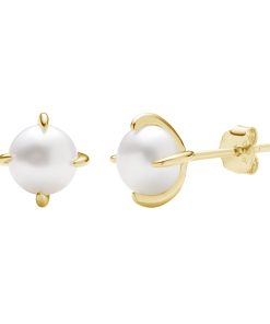 Chic Pearl Earring for Women Gift