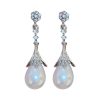 Elegant Drop Earring